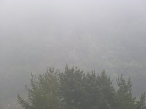 P1010007