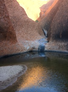 2017-05-18 10.41.27 HDR